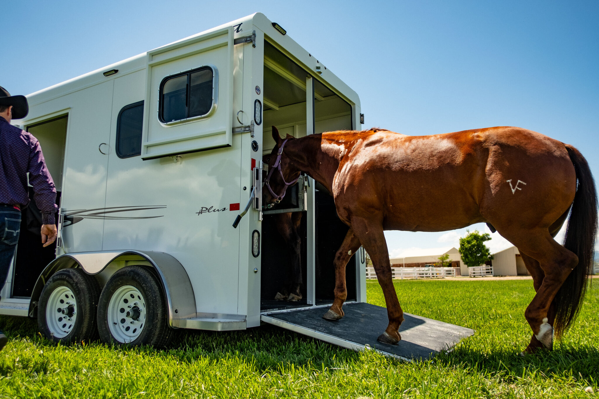 Horse Trailers Trails West Trailers